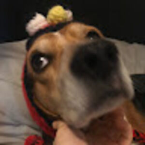 Meet your Posher, Natalia